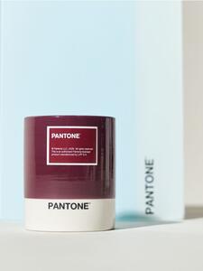 Sinsay - Sviečka Pantone - lilavá