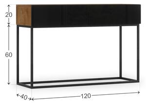 Konzolový stolík AVARIO B-KON120, 120x80x40, dub artisan/čierna lesk
