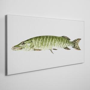Obraz na plátně Zvieracie ryby