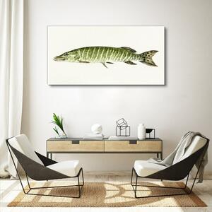 Obraz na plátne Zvieracie ryby