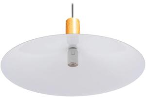 Toolight - Závesná stropná lampa Plate - čierna - APP1084-1CP
