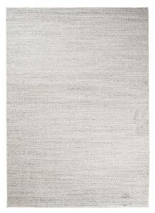 Kusový koberec Remon svetlo šedý 220x320cm