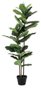 FICUS umelá rastlina V145cm