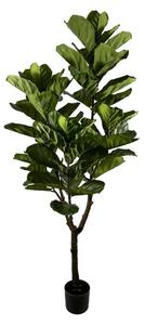 FICUS umelá rastlina V180cm
