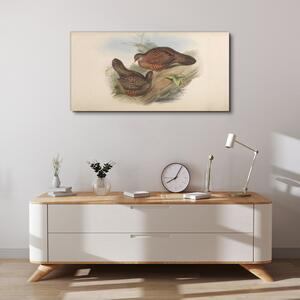 Obraz Canvas Vtáky béžová zvieratá