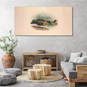 Obraz Canvas Vtáky béžová zvieratá