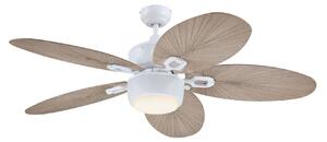 7316440 Stropný ventilátor so svetlom, sivý, tichý – Westinghouse Westinghouse, 7316440, Sivá, Obývacia izba, Plast