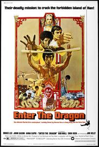 Ilustrácia Enter The Dragon 0