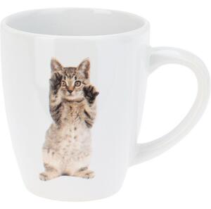 Súprava kameninových hrnčekov Cats 3 ks, 220 ml