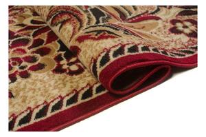 *Kusový koberec PP Kvety červený 250x350cm