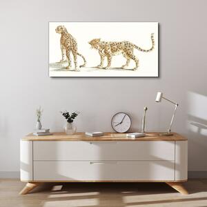 Obraz na plátne Zvieratá mačky leopardy