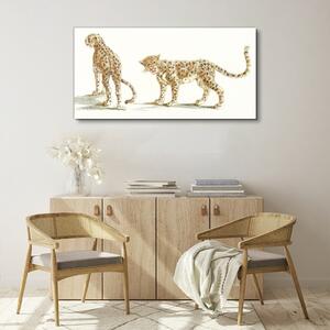 Obraz na plátne Zvieratá mačky leopardy