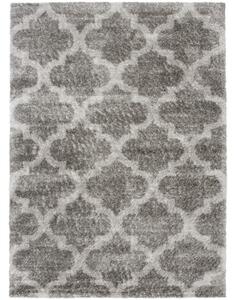 Kusový koberec shaggy Deniz sivý 80x150cm