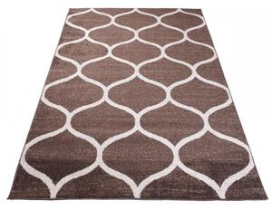 Kusový koberec Luka hnedý 300x400cm