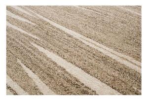 Kusový koberec Albi svetlo hnedý 160x220cm