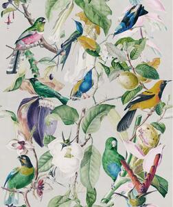 MINDTHEGAP Tropical Birds, zelená/biela/modrá/tmavošedá/farebná skupina modrá/farebná skupina zelená/farebná skupina šedá/farebná skupina čierna + biela