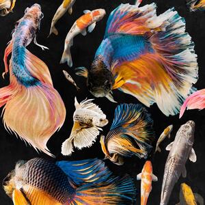 MINDTHEGAP Goldfish Anthracite, modrá/žltá/čierna/farebná skupina modrá/farebná skupina čierna + biela