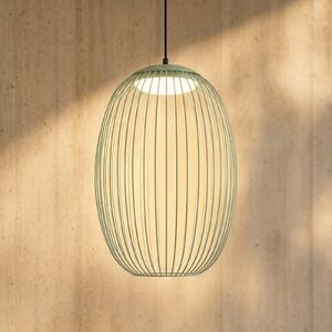 Vonkajšie závesné LED svietidlo Lucande Richi, zelené, 40 cm, stmievateľné, Zelená, kov, Moderný, Závesné svietidlo