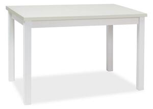 Jedálenský stôl ADAM | 100 x 60 cm Farba: biely mat