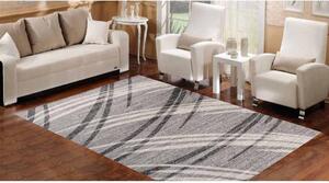 Kusový koberec Meda sivý 220x320cm