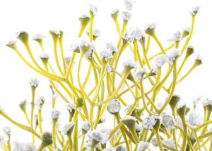 AmeliaHome Umelá kvetina v keramickom obale BABI biela