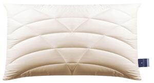 VANKÚŠ POD HLAVU, 40/80 cm Billerbeck - Prikrývky & vankúše, Online Only