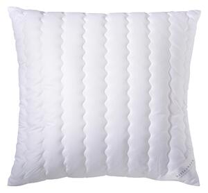 VANKÚŠ POD HLAVU, 80/80 cm Billerbeck - Prikrývky & vankúše, Online Only