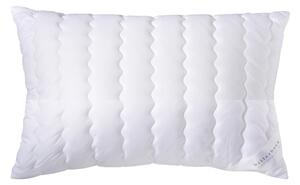 VANKÚŠ POD HLAVU, 40/80 cm Billerbeck - Prikrývky & vankúše, Online Only