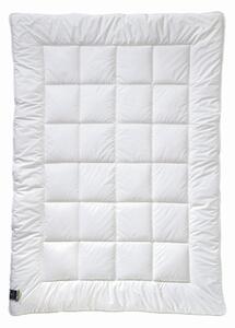 CELOROČNÁ PRIKRÝVKA, 135/200 cm, polyester Billerbeck - Prikrývky & vankúše, Online Only