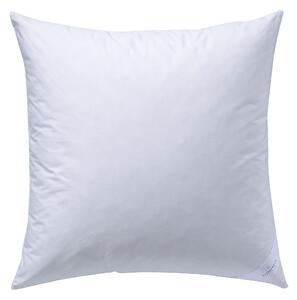 VANKÚŠ POD HLAVU, 80/80 cm Billerbeck - Prikrývky & vankúše, Online Only