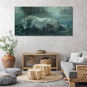 Obraz canvas Lesné kone voľne žijúcich živočíchov
