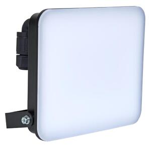 Brilagi - LED reflektor ELARA PRO LED/50W/230V IP65