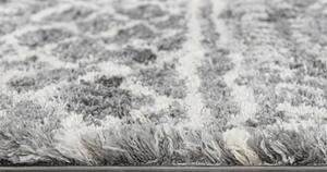 Kusový koberec shaggy Aron sivý 200x300cm