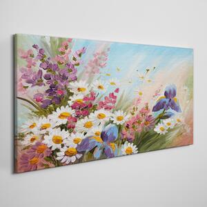Obraz na plátně Maľovanie kvety rastlina
