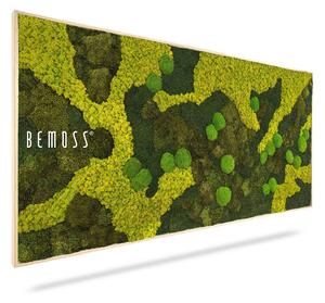 Machový obraz BEMOSS® ORTHO BORJA mono - 40 x 80 cm