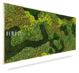 Machový obraz BEMOSS® ORTHO MEDIUM - 40 x 40 cm