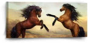 Sablio Obraz Vzpierajúce sa kone - 110x50 cm
