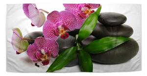 Sablio Uterák Orchidea a kamene - 30x50 cm