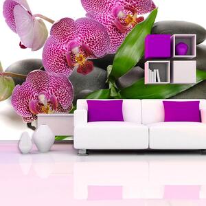 Sablio Tapeta Orchidey a kamene - 125x75 cm