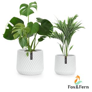Fox & Fern Heusden, súprava 2 kvetináčov, polyston, vhodný na rastliny, ručná výroba, 3D vzhľad