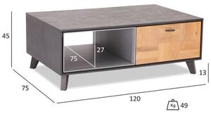Konferenčný stolík Hakon - 120x45x75 cm (hnedá, sivá)