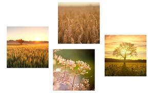Set obrazov pole pri západe slnka