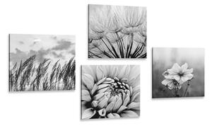 Set obrazov čiernobiela lúka s kvetmi