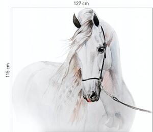 Úžasná nálepka na stenu snehovo biely kôň 115 x 127 cm