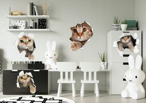 Dekoračná nálepka na stenu zvedavé mačky 80 x 160 cm