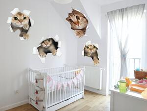 Dekoračná nálepka na stenu zvedavé mačky 60 x 120 cm