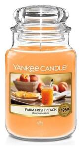 Yankee Candle Yankee Candle - Vonná sviečka FARM FRESH PEACH veľká 623g 110-150 hod. YC0013 + záruka 3 roky zadarmo