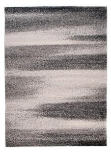 Kusový koberec Adonis sivý 240x330cm