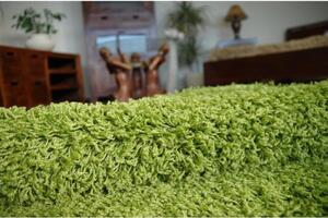 Kusový koberec Shaggy Roy zelený kruh 100cm