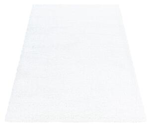 KOBEREC S VYSOKÝM VLASOM, 120/170 cm, biela Novel - Koberce, Online Only